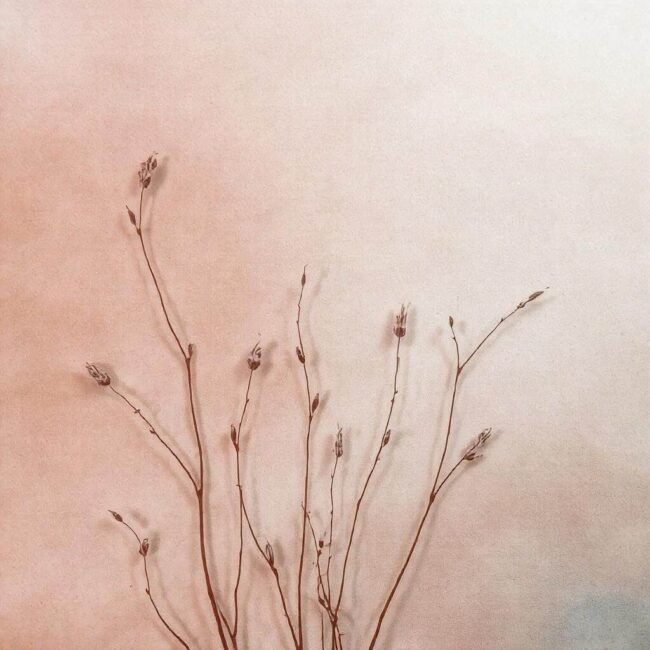 Farba olejna jak kontrolować proces schnięcia